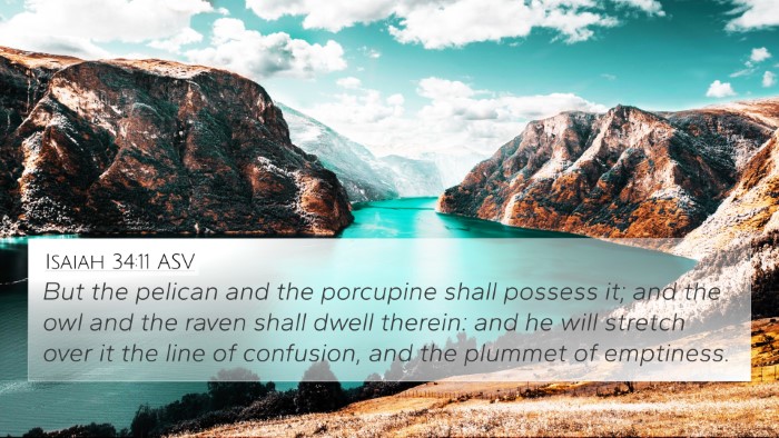 Isaiah 34:11 ASV Bible Verse Image