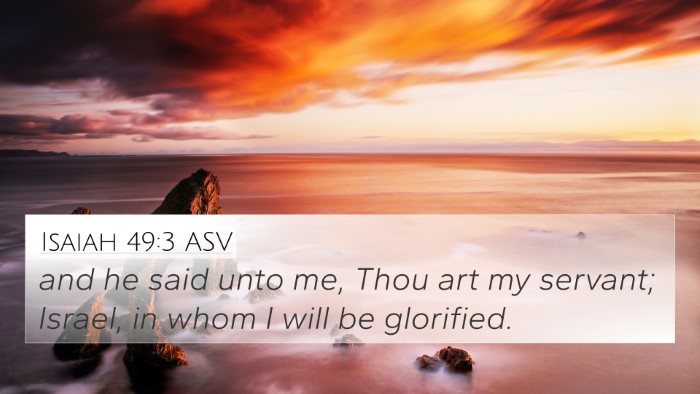 Isaiah 49:3 ASV Bible Verse Image