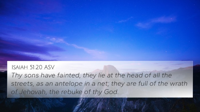 Isaiah 51:20 ASV Bible Verse Image