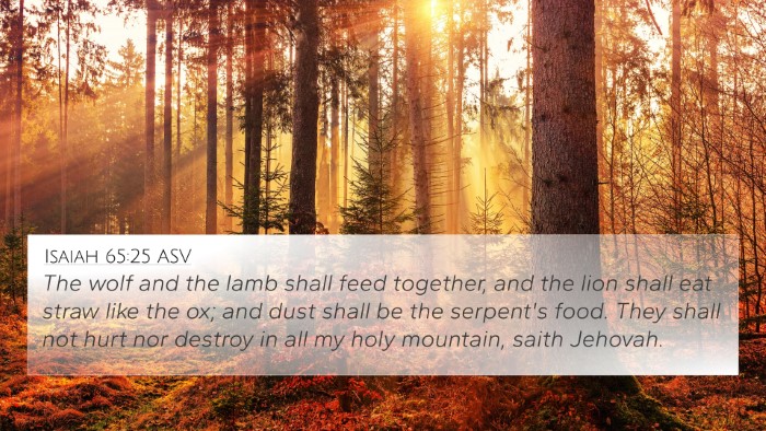 Isaiah 65:25 ASV Bible Verse Image