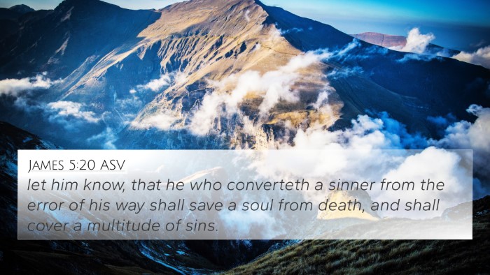 James 5:20 ASV Bible Verse Image