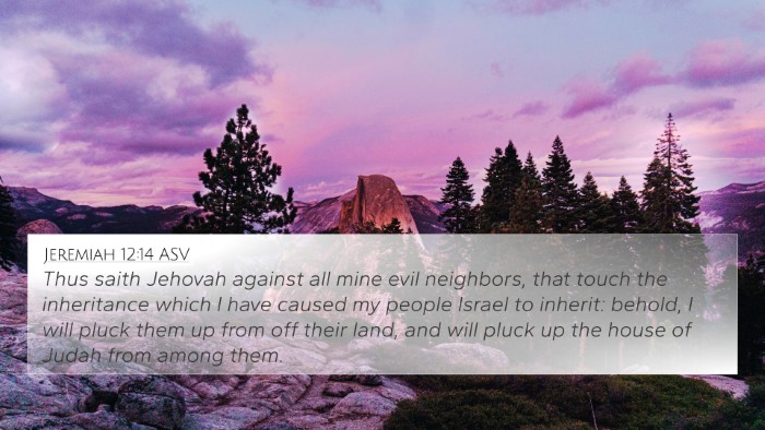 Jeremiah 12:14 ASV Bible Verse Image