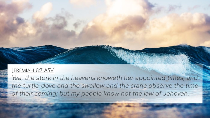 Jeremiah 8:7 ASV Bible Verse Image