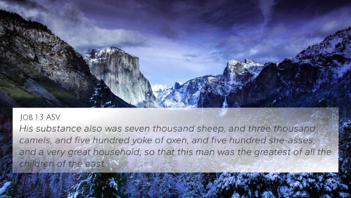 Job 1:3 ASV Bible Verse Image