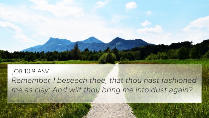 Job 10:9 ASV Bible Verse Image