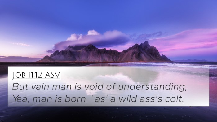 Job 11:12 ASV Bible Verse Image