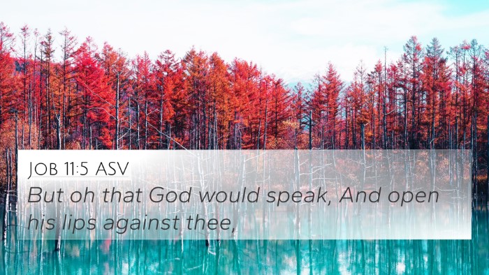 Job 11:5 ASV Bible Verse Image
