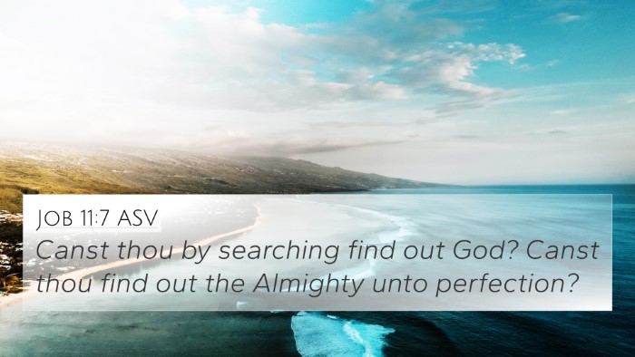 Job 11:7 ASV Bible Verse Image