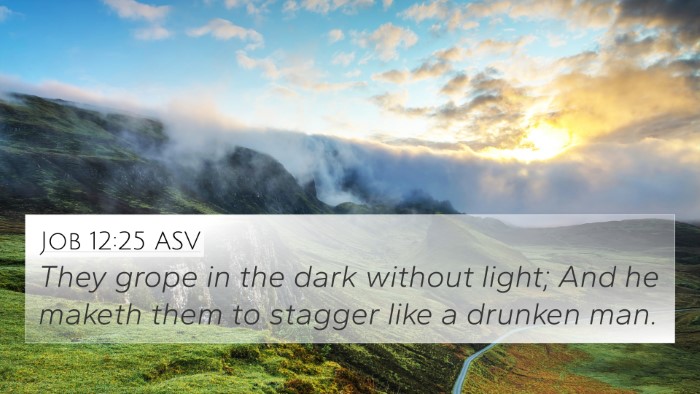 Job 12:25 ASV Bible Verse Image