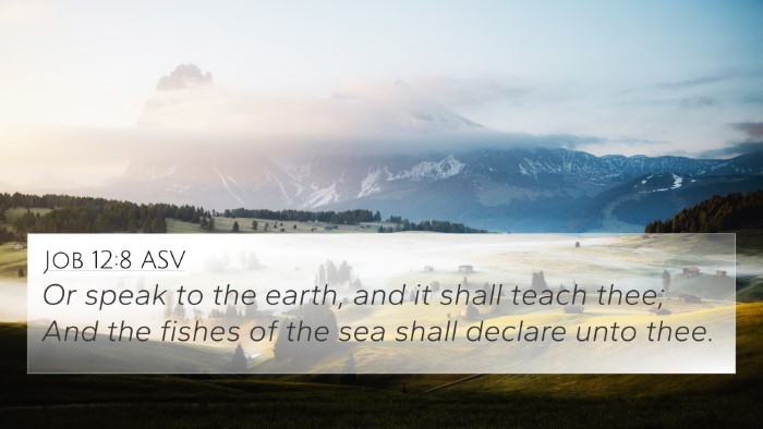 Job 12:8 ASV Bible Verse Image