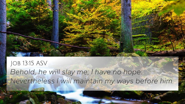 Job 13:15 ASV Bible Verse Image