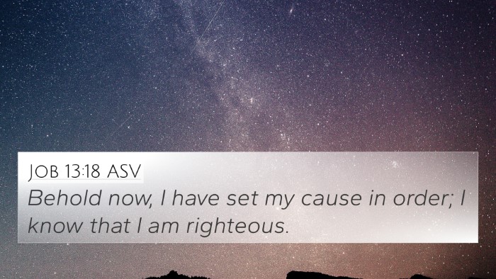 Job 13:18 ASV Bible Verse Image
