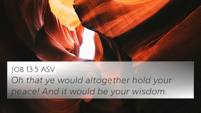 Job 13:5 ASV Bible Verse Image