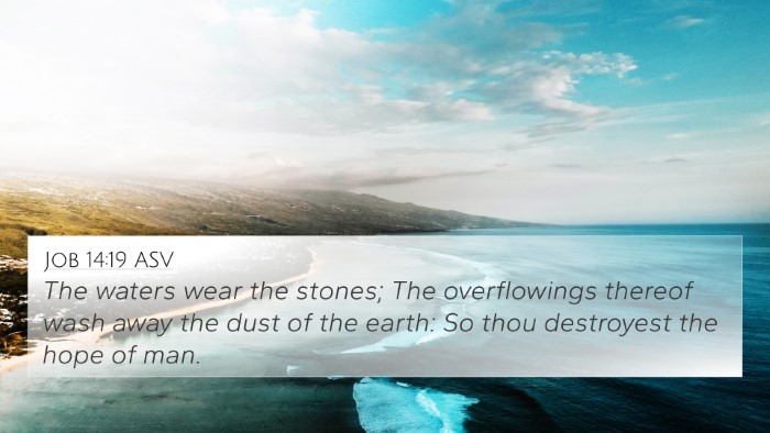 Job 14:19 ASV Bible Verse Image