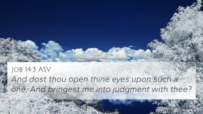 Job 14:3 ASV Bible Verse Image