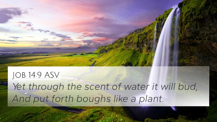 Job 14:9 ASV 4K Wallpaper - Yet through the scent of water it will bud, And - 4K Wallpaper Bible Verse