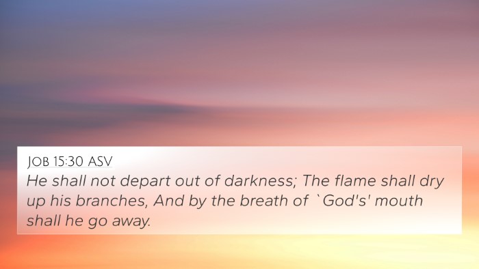 Job 15:30 ASV Bible Verse Image