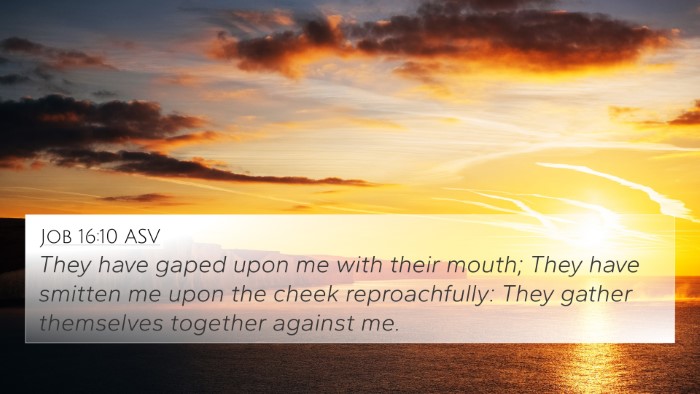 Job 16:10 ASV Bible Verse Image