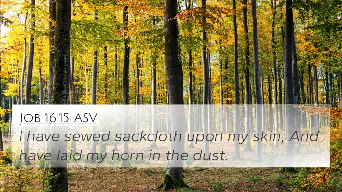 Job 16:15 ASV Bible Verse Image