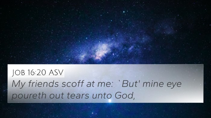 Job 16:20 ASV Bible Verse Image