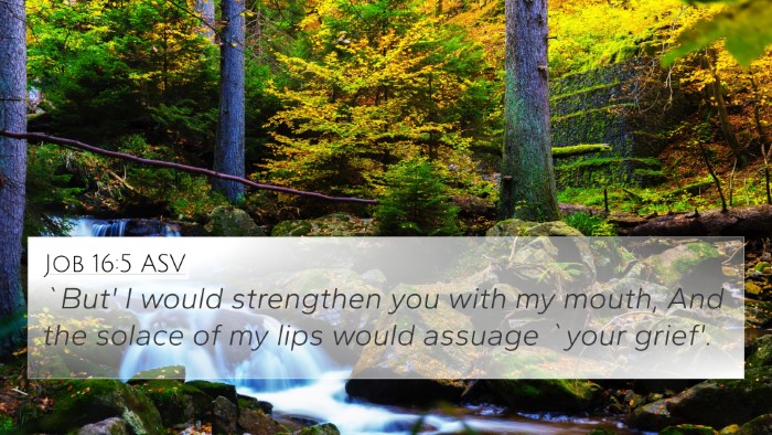 Job 16:5 ASV Bible Verse Image