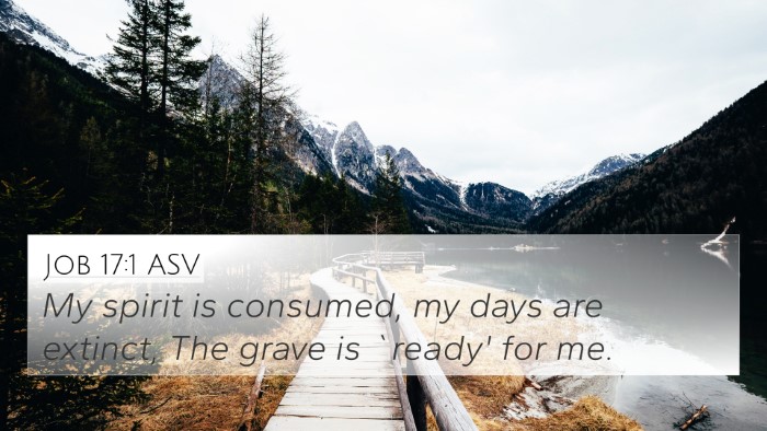 Job 17:1 ASV 4K Wallpaper - My spirit is consumed, my days are extinct, The - 4K Wallpaper Bible Verse