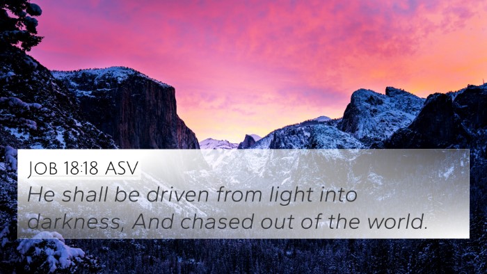 Job 18:18 ASV Bible Verse Image