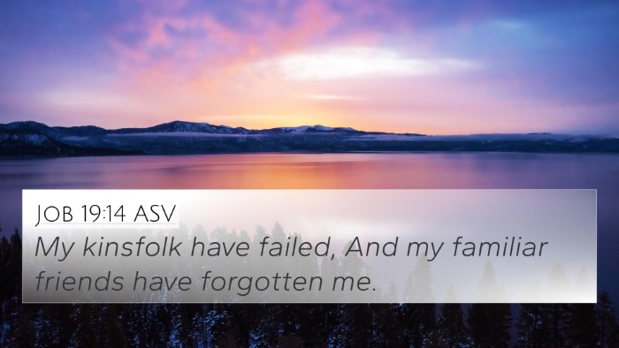 Job 19:14 ASV Bible Verse Image