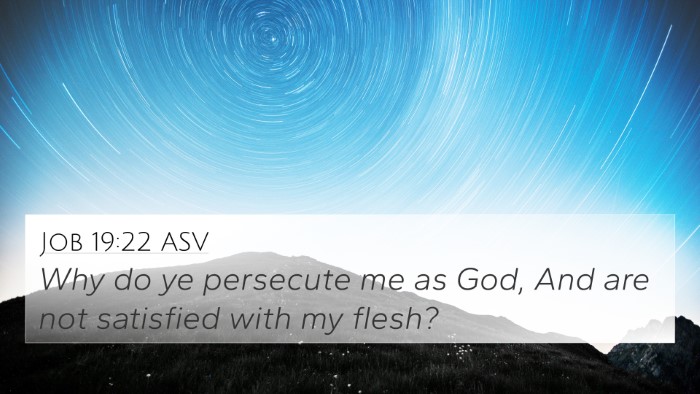 Job 19:22 ASV Bible Verse Image