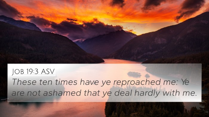 Job 19:3 ASV Bible Verse Image