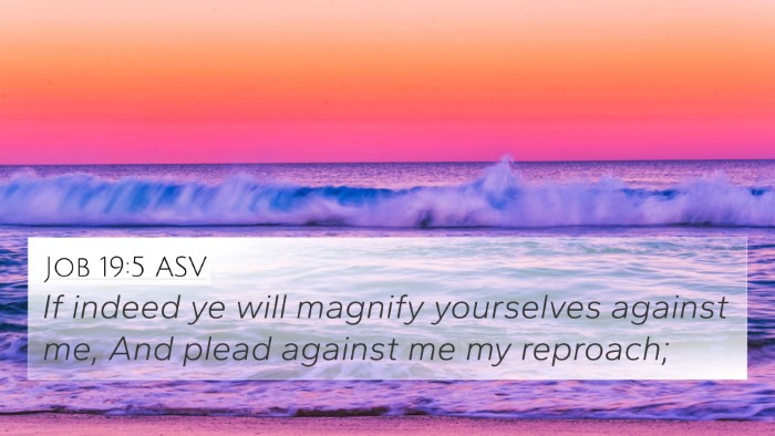 Job 19:5 ASV Bible Verse Image