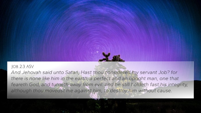 Job 2:3 ASV Bible Verse Image