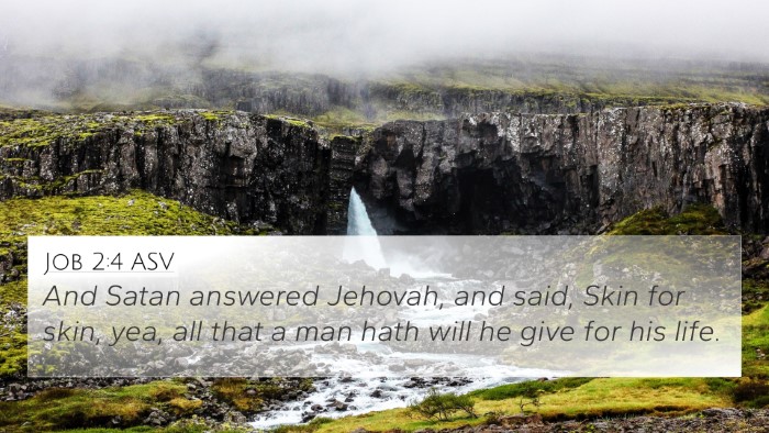 Job 2:4 ASV Bible Verse Image