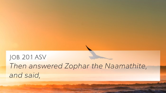 Job 20:1 ASV Bible Verse Image