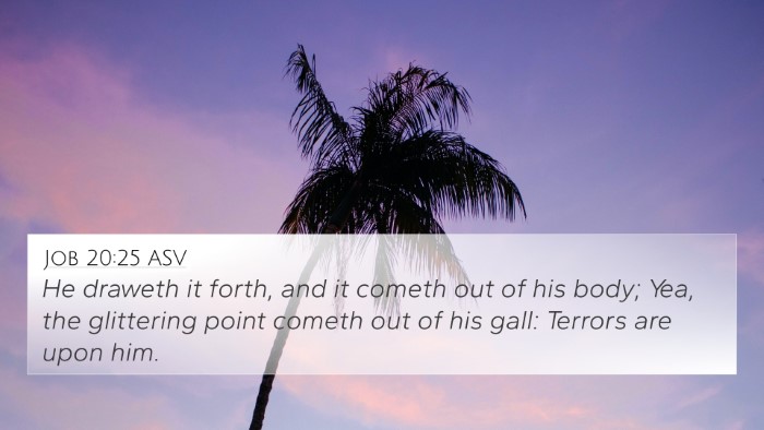 Job 20:25 ASV Bible Verse Image