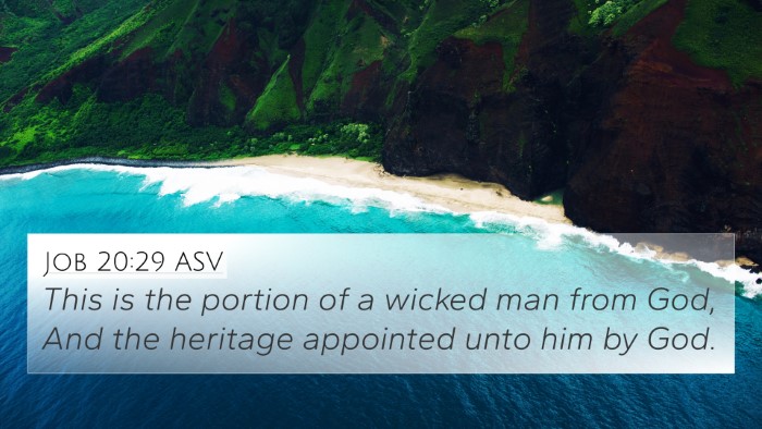 Job 20:29 ASV Bible Verse Image