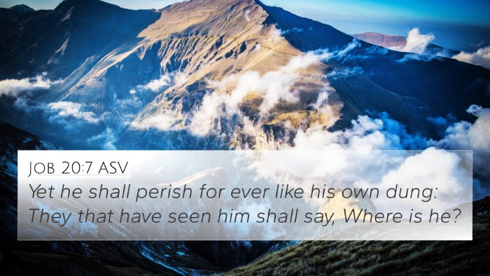 Job 20:7 ASV Bible Verse Image