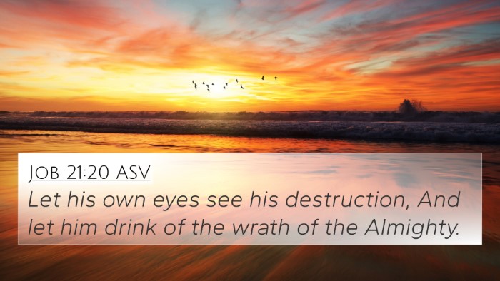 Job 21:20 ASV Bible Verse Image