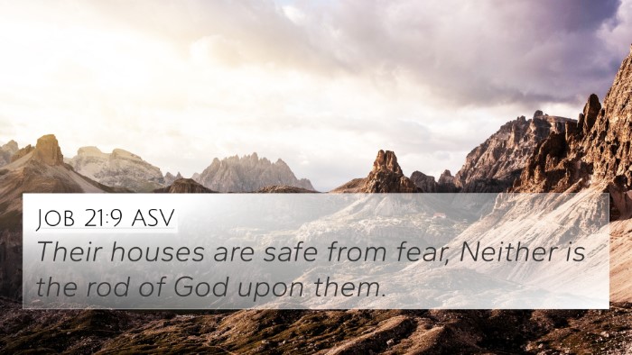 Job 21:9 ASV Bible Verse Image