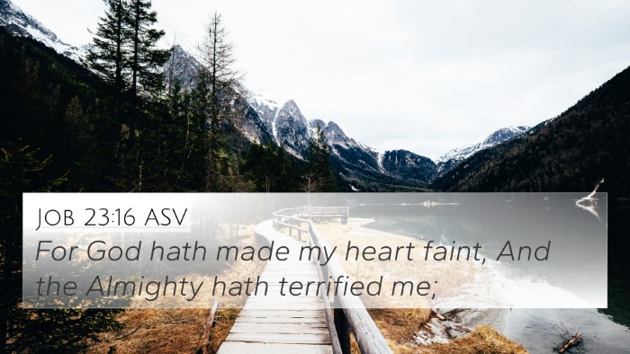 Job 23:16 ASV 4K Wallpaper - For God hath made my heart faint, And the - 4K Wallpaper Bible Verse
