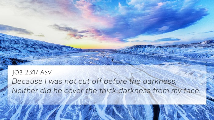 Job 23:17 ASV Bible Verse Image