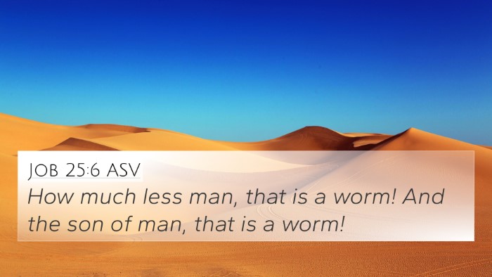 Job 25:6 ASV Bible Verse Image