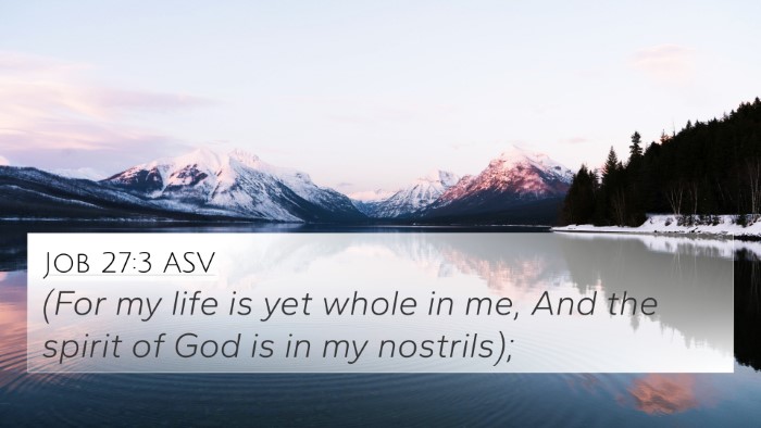 Job 27:3 ASV Bible Verse Image