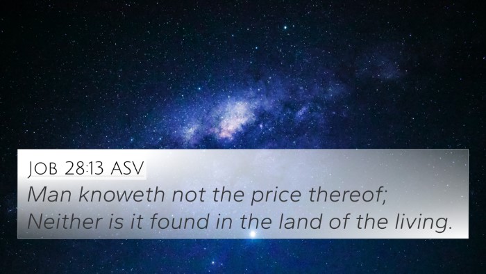 Job 28:13 ASV Bible Verse Image