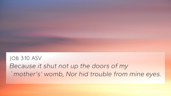 Job 3:10 ASV Bible Verse Image