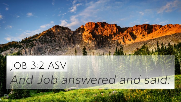 Job 3:2 ASV 4K Wallpaper - And Job answered and - 4K Wallpaper Bible Verse