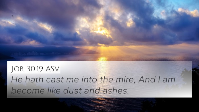 Job 30:19 ASV Bible Verse Image