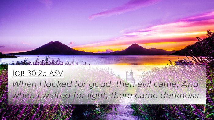 Job 30:26 ASV Bible Verse Image