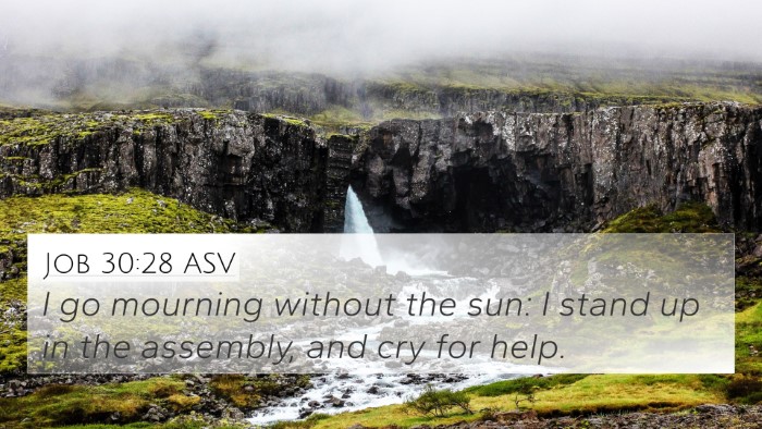 Job 30:28 ASV Bible Verse Image