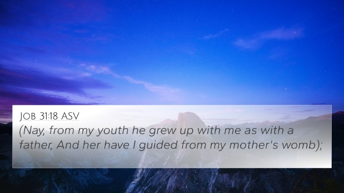 Job 31:18 ASV Bible Verse Image